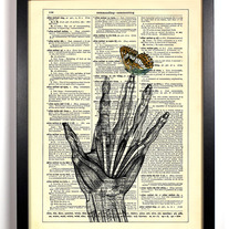 Image of A Butterfly Landed On My Finger, Vintage Dictionary, 8 x 10