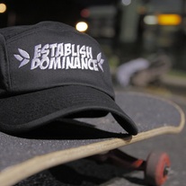 Petals 5 panel 