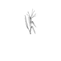 detassle