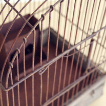 Rustic Vintage Birdcage - Thumbnail 2