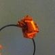 300626_10150402001381253_634331252_10623095_1773850914_n_small