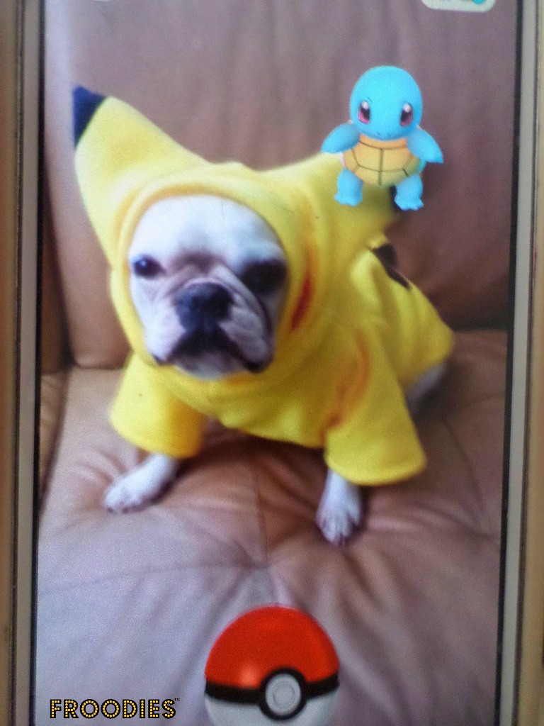 pug pikachu bulldog boston terrier pug froodies hoodies costume pug pikachu bulldog boston terrier pug froodies hoodies costume
