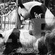 PANDA BANDA - Thumbnail 3