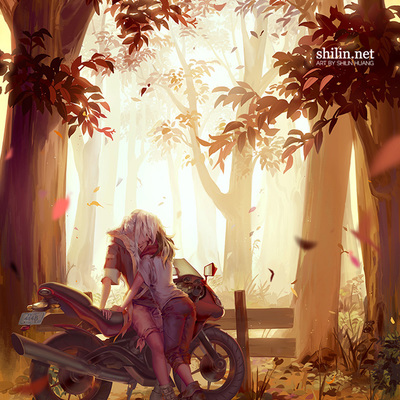 18" x 24" poster: autumn