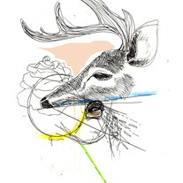 Deer2_medium