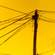 "Love Connection" Poster - Thumbnail 3