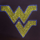 Yellow_wv_closeup_small