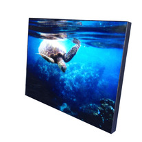 Sea_20turtle_medium