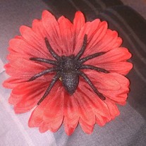 Imag0004_medium