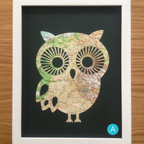Owl_a_medium