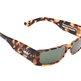 Tortoiseshell1_small