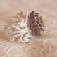 068_20copy_small