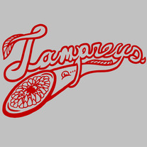 Lampreys t-shirt (gray)