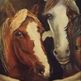 Dscf0208_small