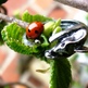 Silver_20mouse_202_small