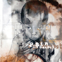 Pain is Honest-V/A CD