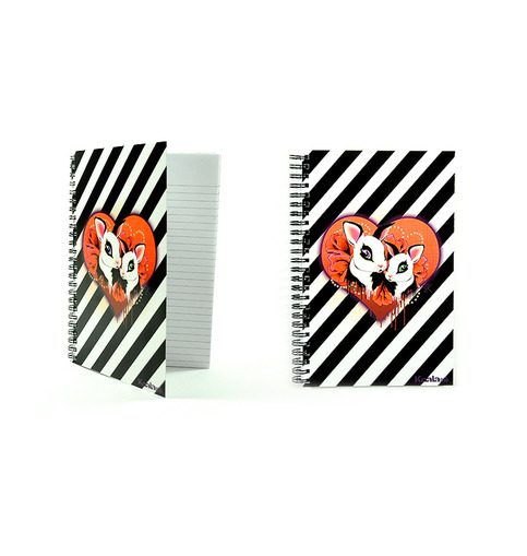 IHVD Notebook 