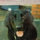 Barkley_small