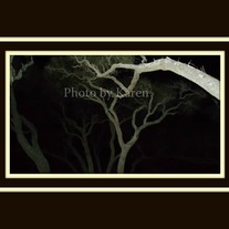 Night_20watch_20matted_medium
