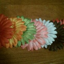 Daisies_medium