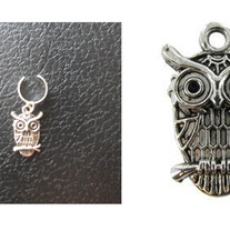 Owl_medium
