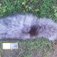 Tundra4_small