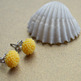 Dsc_0100_small