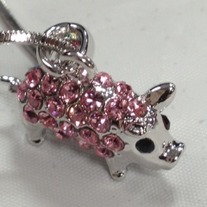 Pig2_medium