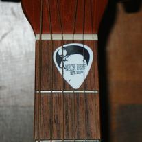 Ndmguitarpick_medium