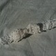 Securedownload_20(18)_small