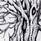 Tree-zoom_small
