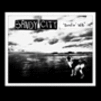 Sandy City "Surfin' WA" 12" LP (Rok Lok)