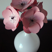 Anemone_206_medium