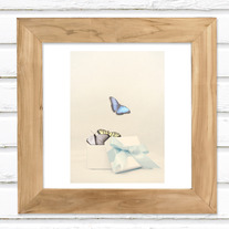 Box Of Dreams Luster Photo Print 5x7