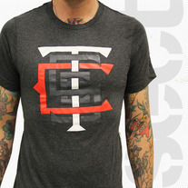 Sect.tc3.charcoal_medium