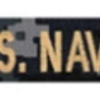 Navy Gold Branch (E-7 and Above)