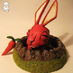 Conill_02_small