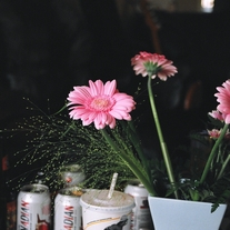 Flowers_medium