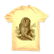 Owl_medium