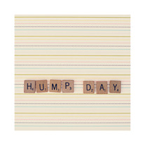 Hump_20day_205x5-72_medium
