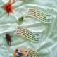 Storenvy_009_small