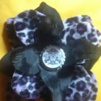 Black Cheetah Rose
