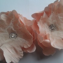 Two Pink Flowers