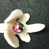 Photo_medium