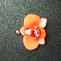 Photo_medium