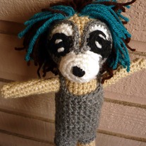 Raccoon5_medium