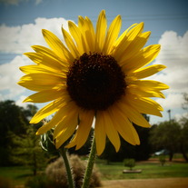 Austinandgac_081