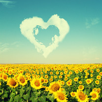 Summer_sun_by_louisebittersweet