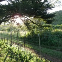 South_africa_for_web_sites