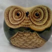 Green_owl
